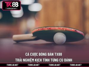 Cá cược bóng bàn TX88