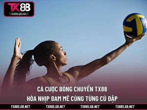 Cá cược bóng chuyền TX88