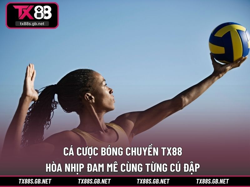 Cá cược bóng chuyền TX88