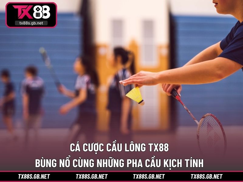 Cá cược cầu lông TX88