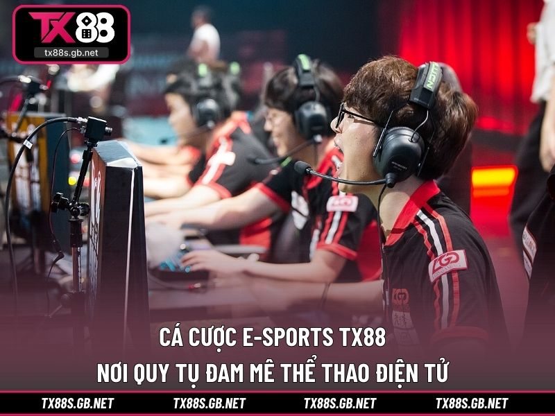 Cá cược e-sports TX88