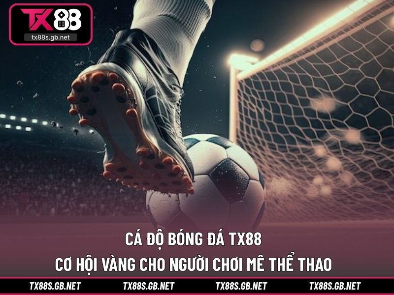 Cá độ bóng đá TX88