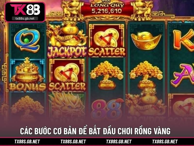 Các bước cơ bản để bắt đầu chơi rồng vàng