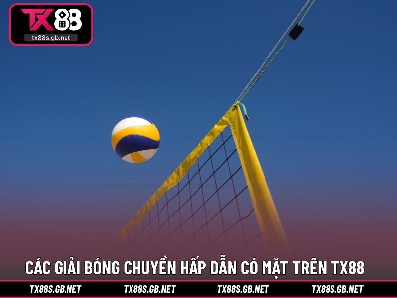 Các giải bóng chuyền hấp dẫn luôn có mặt trên TX88
