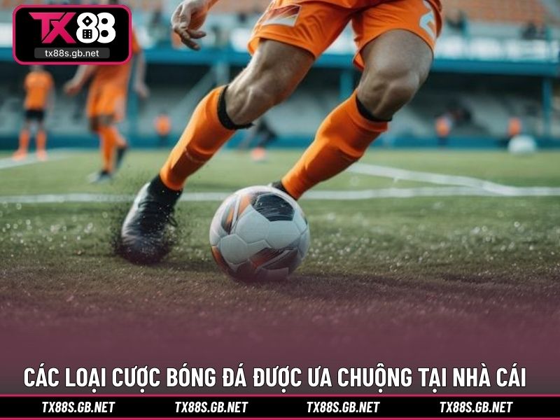 Các loại cược bóng đá được ưa chuộng tại nhà cái