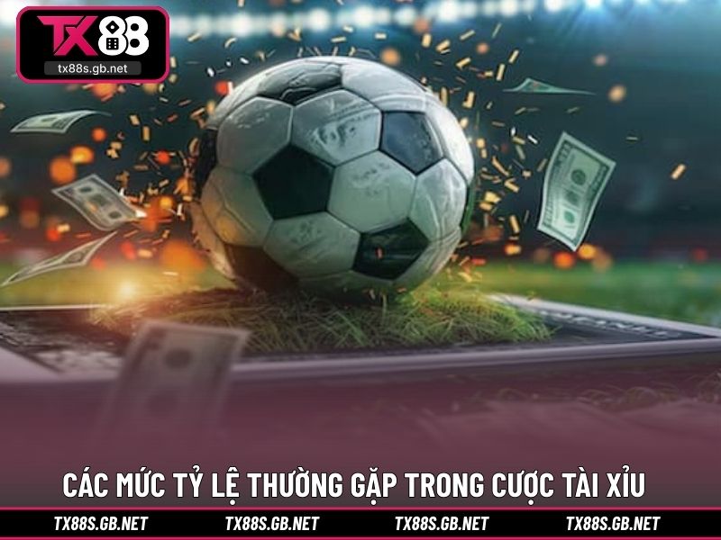Các mức tỷ lệ thường gặp trong cược tài xỉu