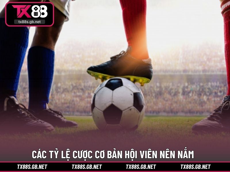 Các tỷ lệ cược cơ bản hội viên nên nắm