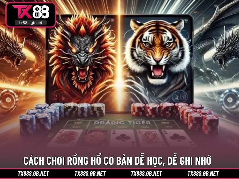 Cách chơi rồng hổ cơ bản dễ học, dễ ghi nhớ