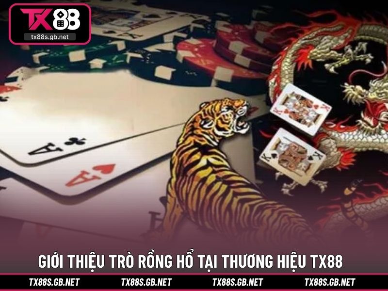 Giới thiệu trò rồng hổ tại thương hiệu TX88