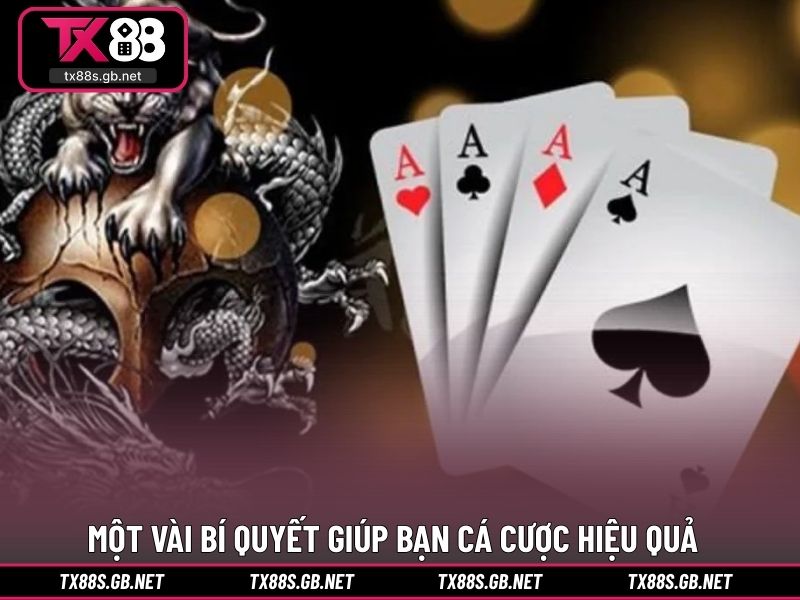 Một vài bí quyết giúp bạn cá cược hiệu quả hơn