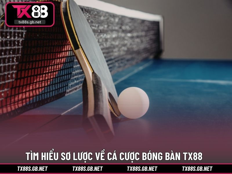 Tìm hiểu sơ lược về cá cược bóng bàn TX88