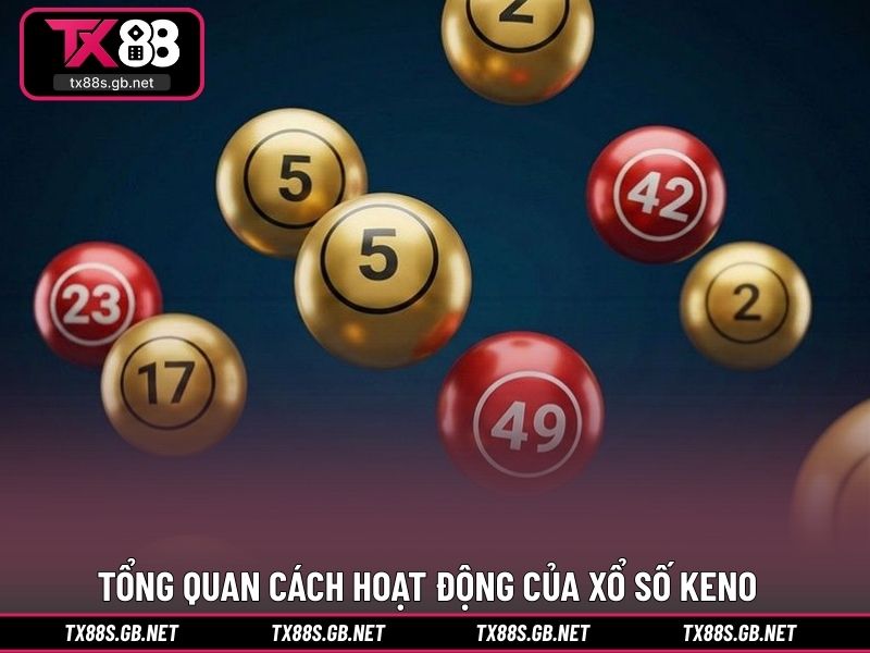 Tổng quan cách hoạt động của xổ số keno trực tuyến