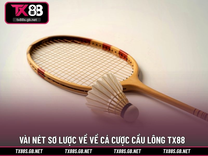 Vài nét sơ lược về về cá cược cầu lông TX88