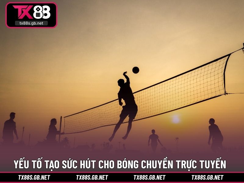 Yếu tố tạo nên sức hút cho bóng chuyền trực tuyến